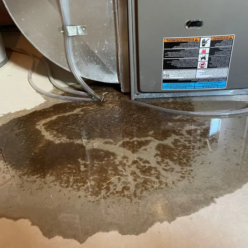 Pipe Burst and Leak Restoration in Bullitt County, KY