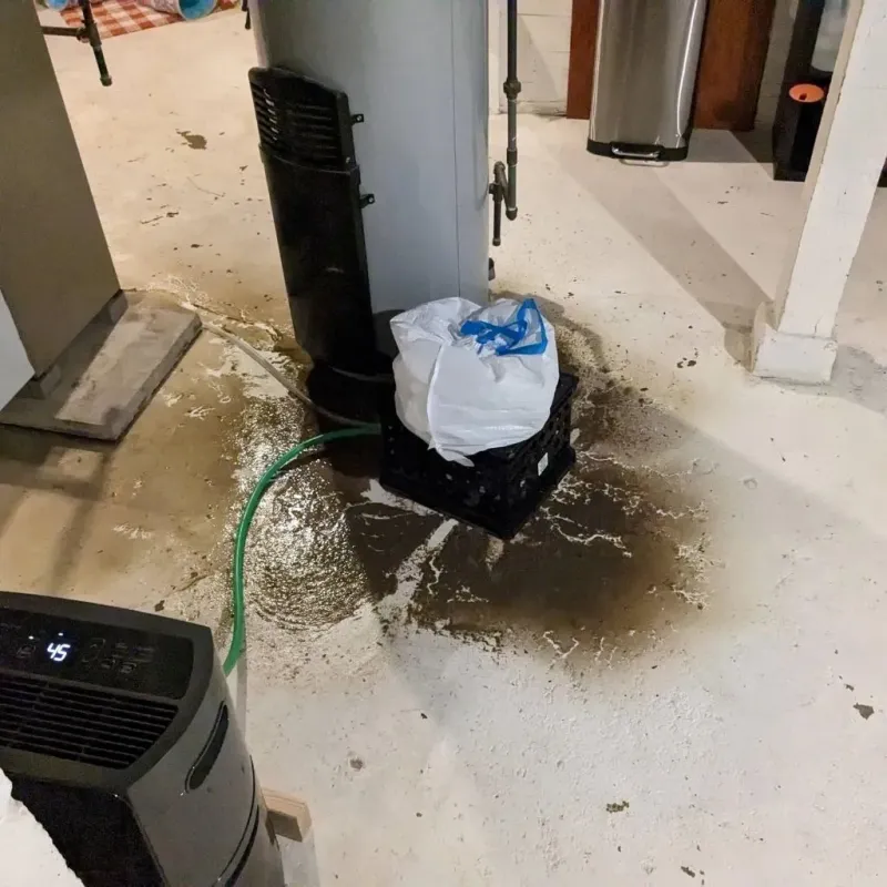 Sewage Backup Cleanup Service in Bullitt County, KY